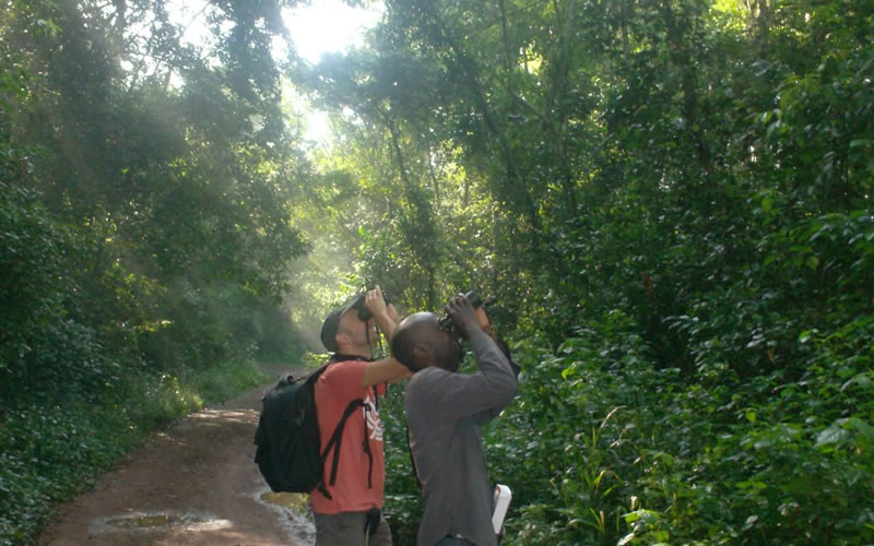 Griffin Falls Camp - Mabira Forest